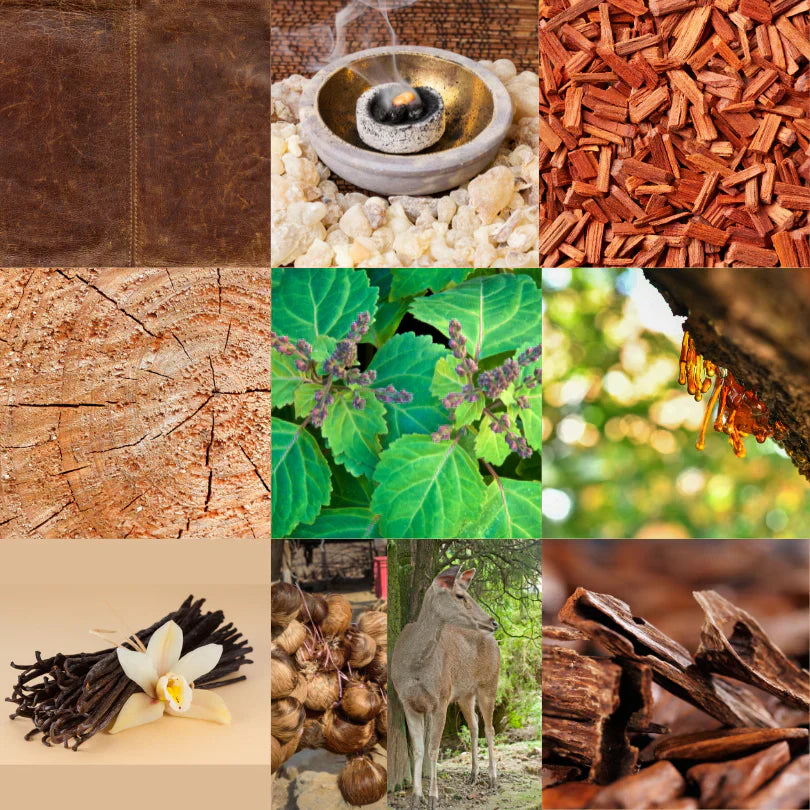 Base Notes - A Comprehensive Guide to Perfume Ingredients.