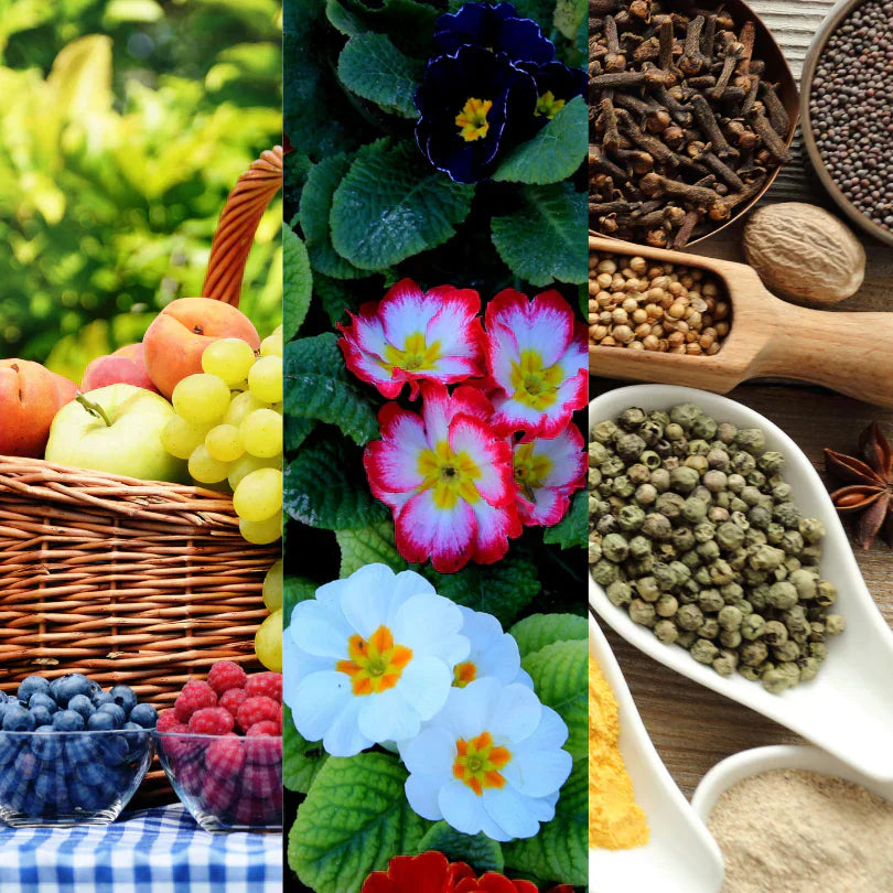 Heart Notes - A Comprehensive Guide to Perfume Ingredients.